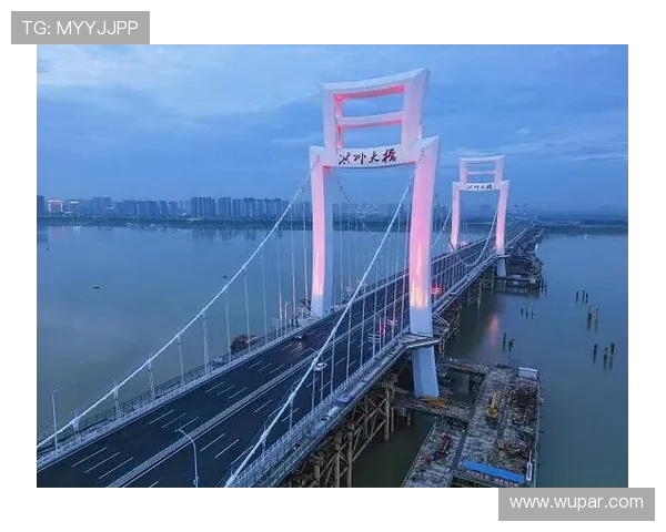 洪州大桥见证万人双向奔赴 南昌夜跑点燃全城热恋(3)